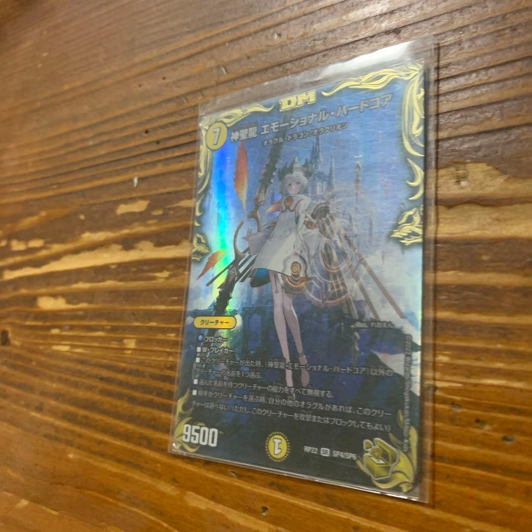 神聖龍　エモーショナル・ハードコア　金