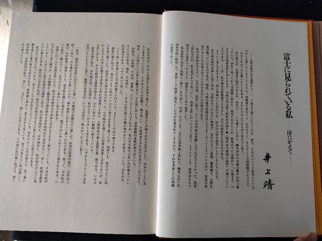 ●静岡の美術と文化 大型豪華本全2冊セット／郷土史 美術史 図録 昭和60年発行