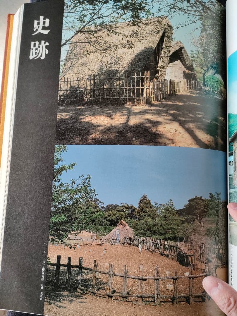 ●静岡の美術と文化 大型豪華本全2冊セット／郷土史 美術史 図録 昭和60年発行