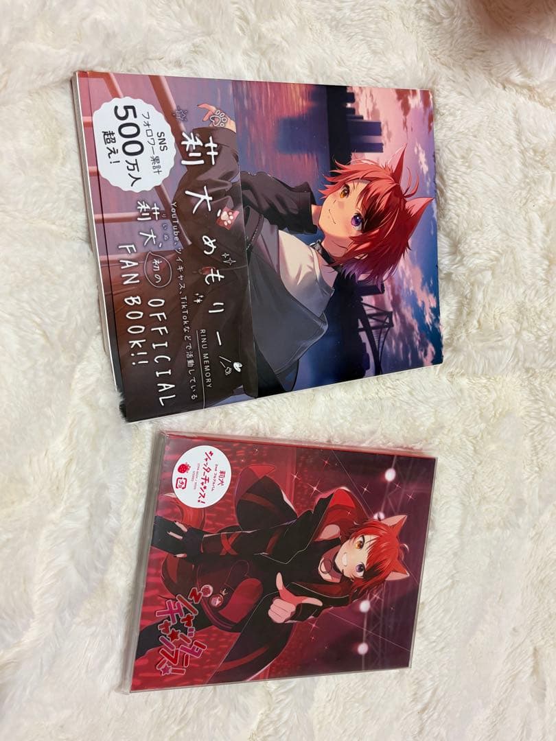 莉犬めもりー Official Fan Book & DVD CD