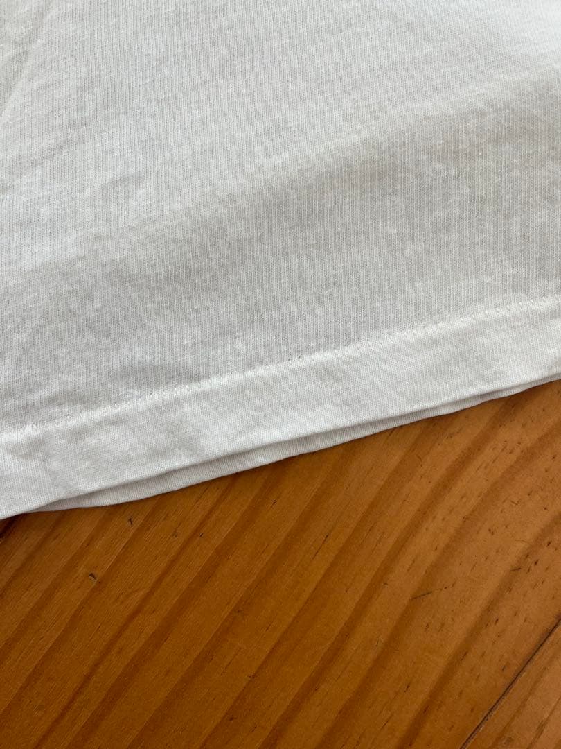 90s Hanes ラファエロアートTシャツ システィーナの聖母　ヴィンテージ