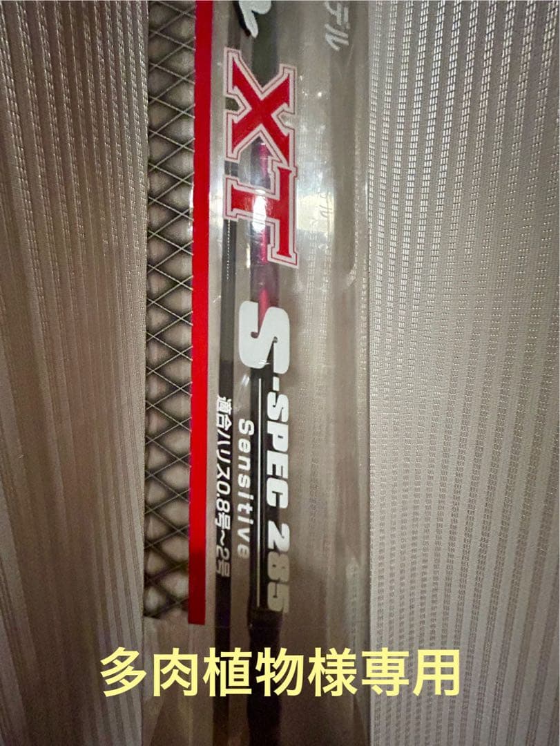 多肉植物 黒鯛工房ヘチセレクションXT S-SPEC 285