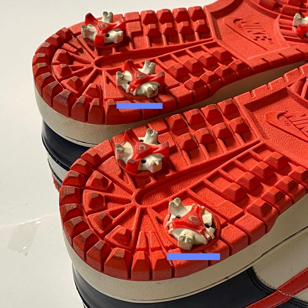 シューズ(男性用) NIKE GOLF DUNK NG SL / 28.5cm