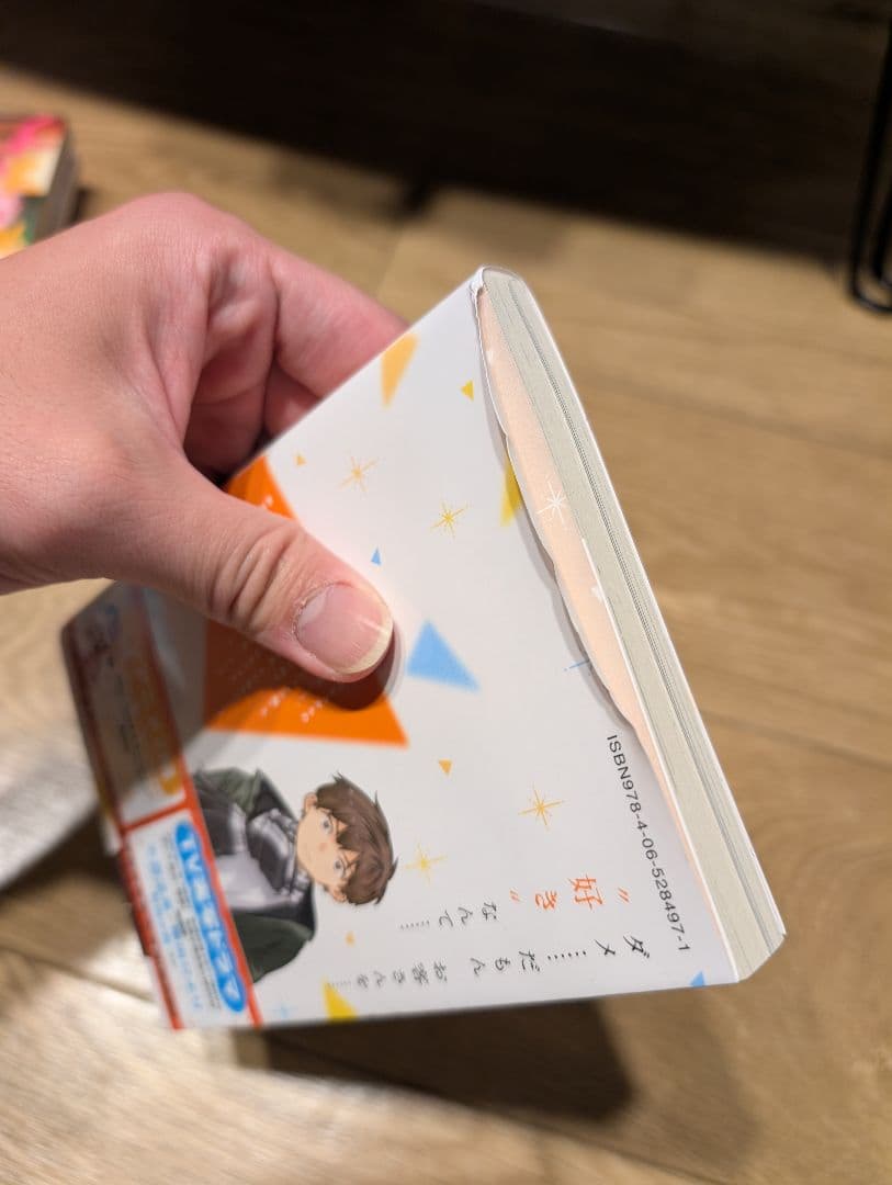 彼女、お借りします　計42冊セット　1〜41巻+3冊‼︎ 宮島礼吏