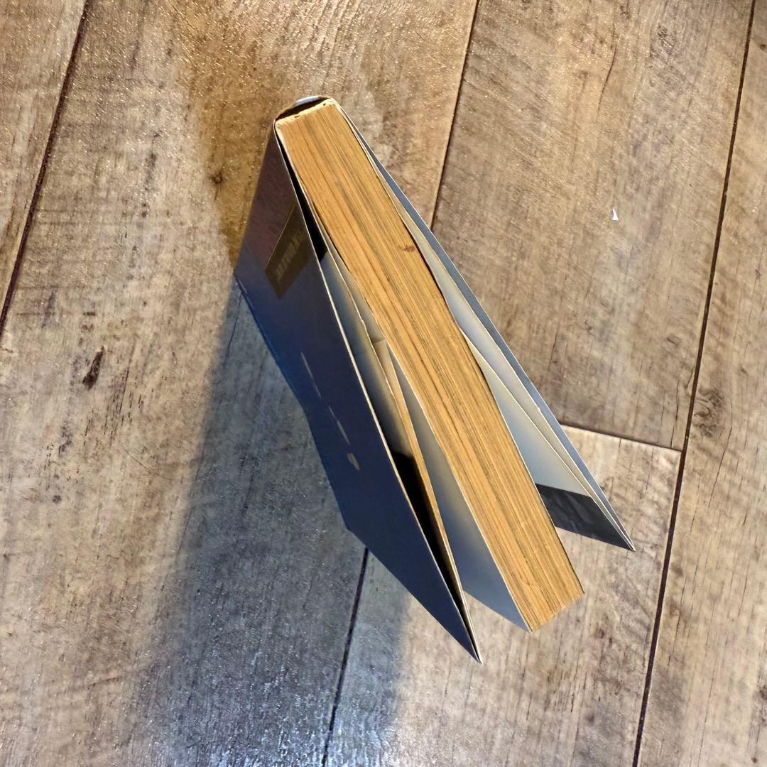 激レア 大貫憲章のROCK快楽主義 ロンドンナイト DJ ロンナイ