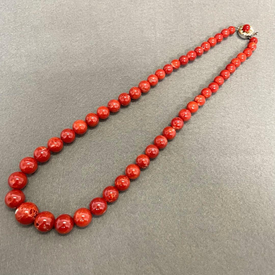 【F】本珊瑚 赤珊瑚 ネックレス レディース