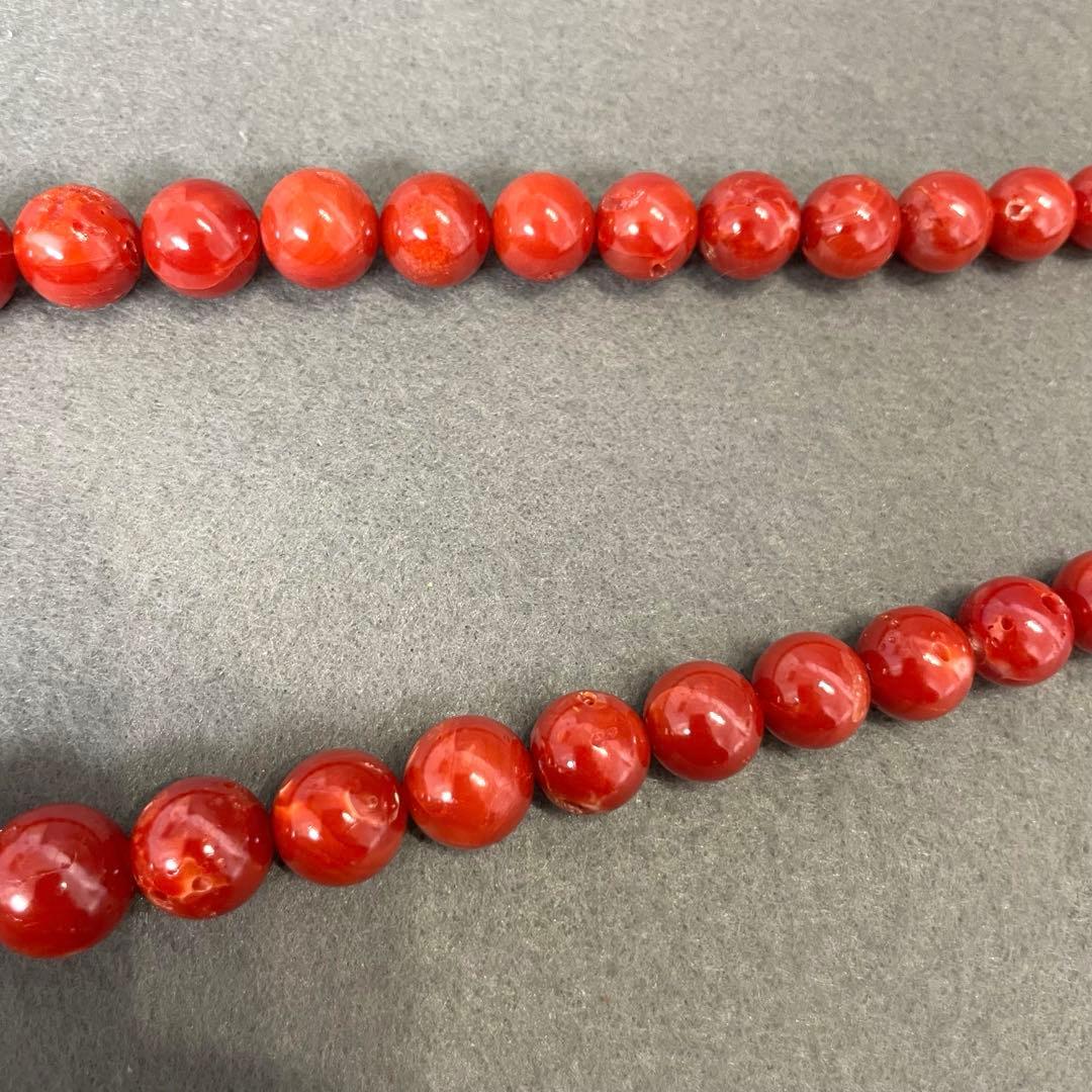 【F】本珊瑚 赤珊瑚 ネックレス レディース