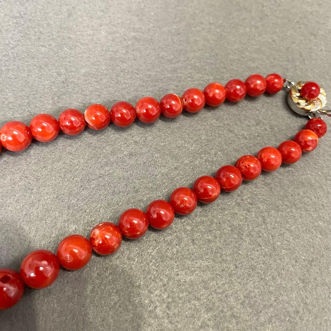 【F】本珊瑚 赤珊瑚 ネックレス レディース