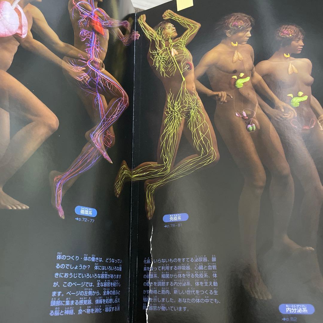 プレNEO 小学館の図鑑NEO MOVE 19冊　セット