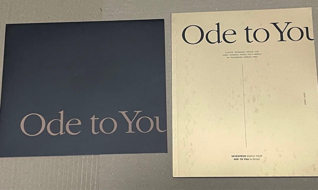 SEVENTEEN ODE TO YOU IN SEOUL DVD 日本語字幕付