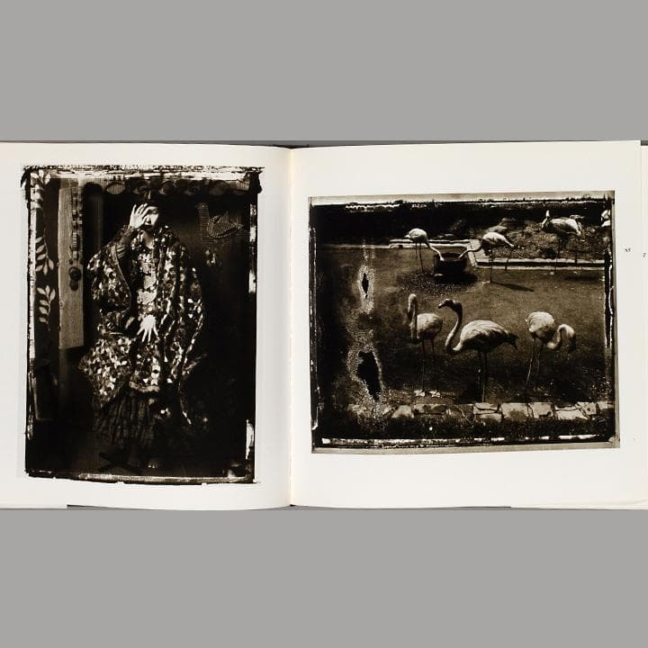 アート・デザイン・音楽 Coincidences Photo by Sarah Moon