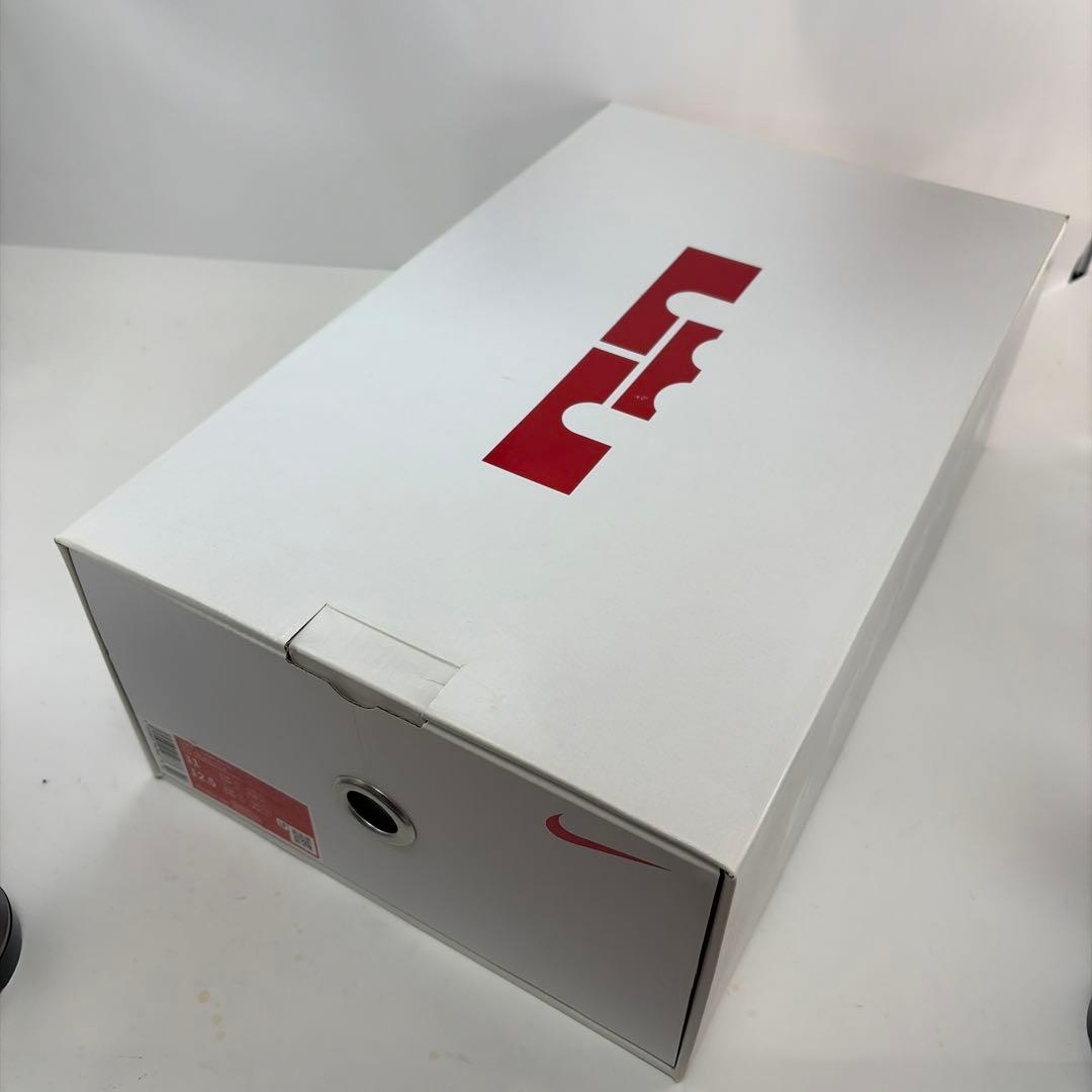 Nike LeBron ９レトロ リーガルピンク シューズ(男性用)２９センチ