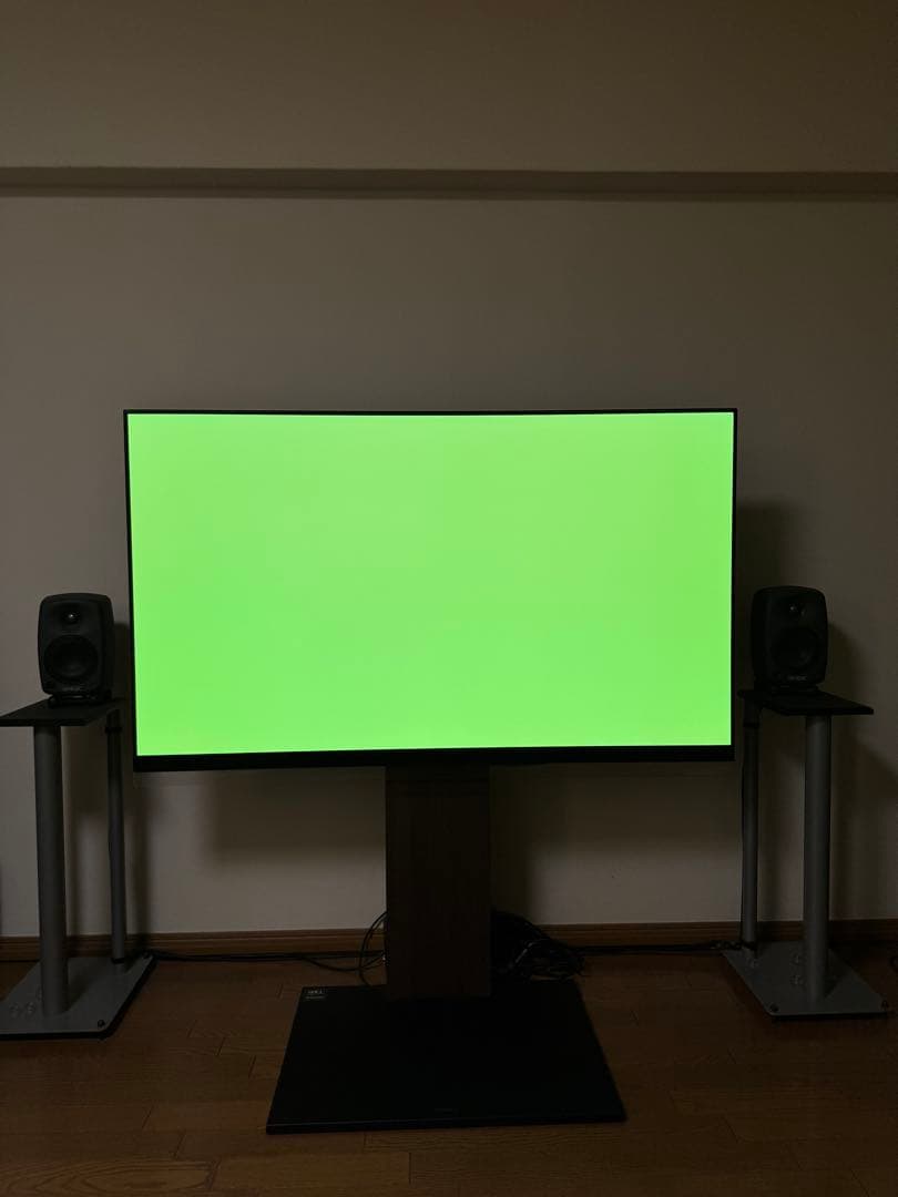 LG 有機EL 55 テレビ TV 本体 OLED55E9PJA プレミア