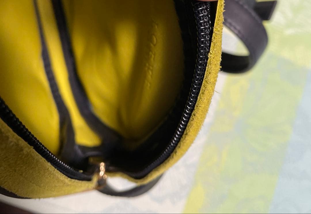 ロエベ　ポシェット（ヴィンテージ） グリーン×ネイビーコンビ