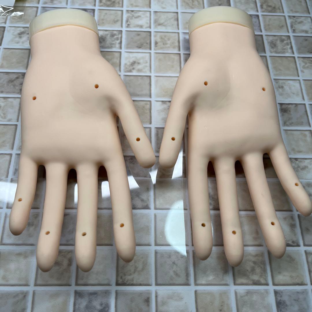 ネイルアート用モデルハンドセット　ST ◆モデルハンド