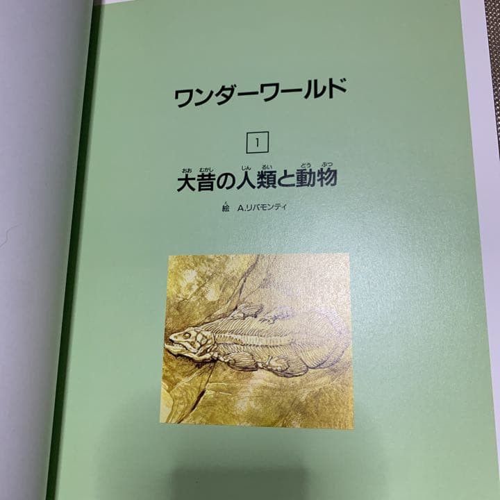 ワンダーワールド