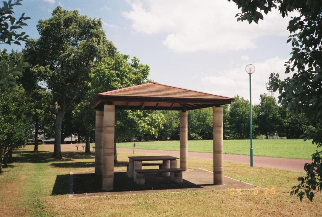 Nikon L35AD コンパクトフィルムカメラ