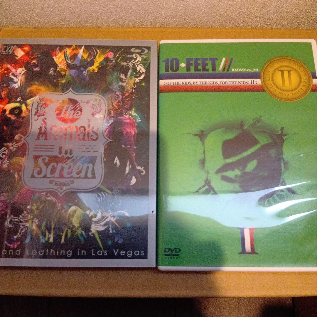 メロコア音楽DVD13枚セット