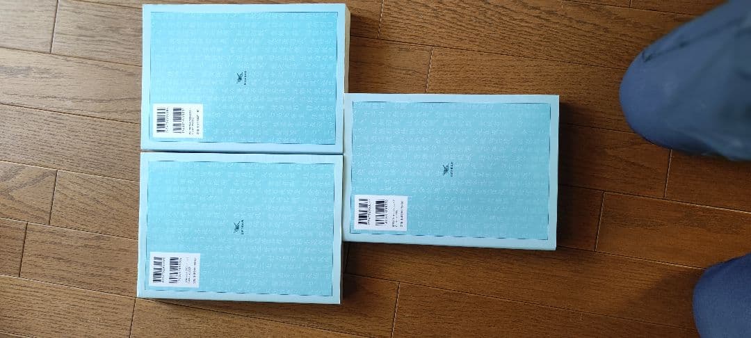 黄帝内経　素問訳注