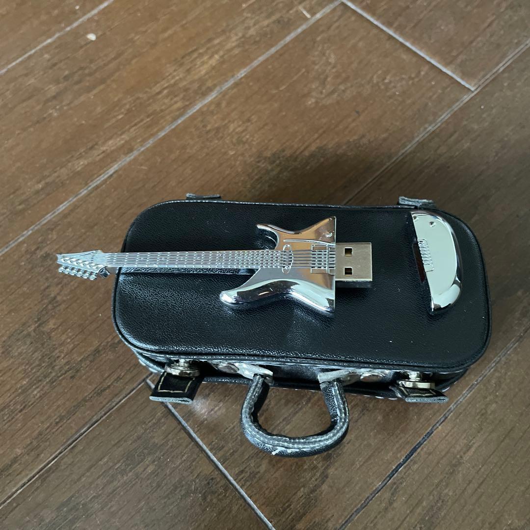 販売終了品　Joe satriani STRIPPED X THREE USB