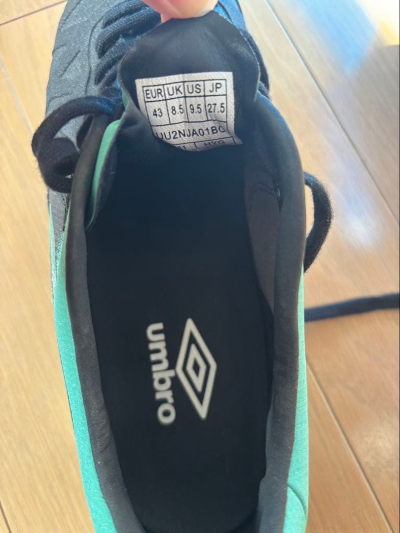 『ACR シーティー プロ HG』