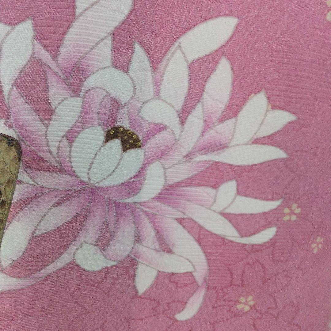 桜色の振袖 菊花紋様