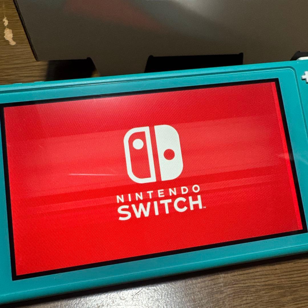 Switch ライト　ジャンク　箱付き　ケース付き