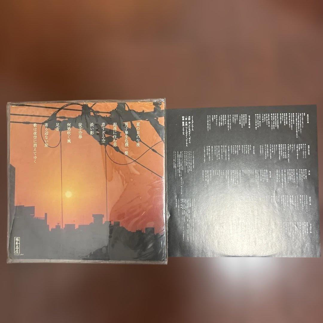 イースタンユース 秋の光と冬の影 12インチレコード