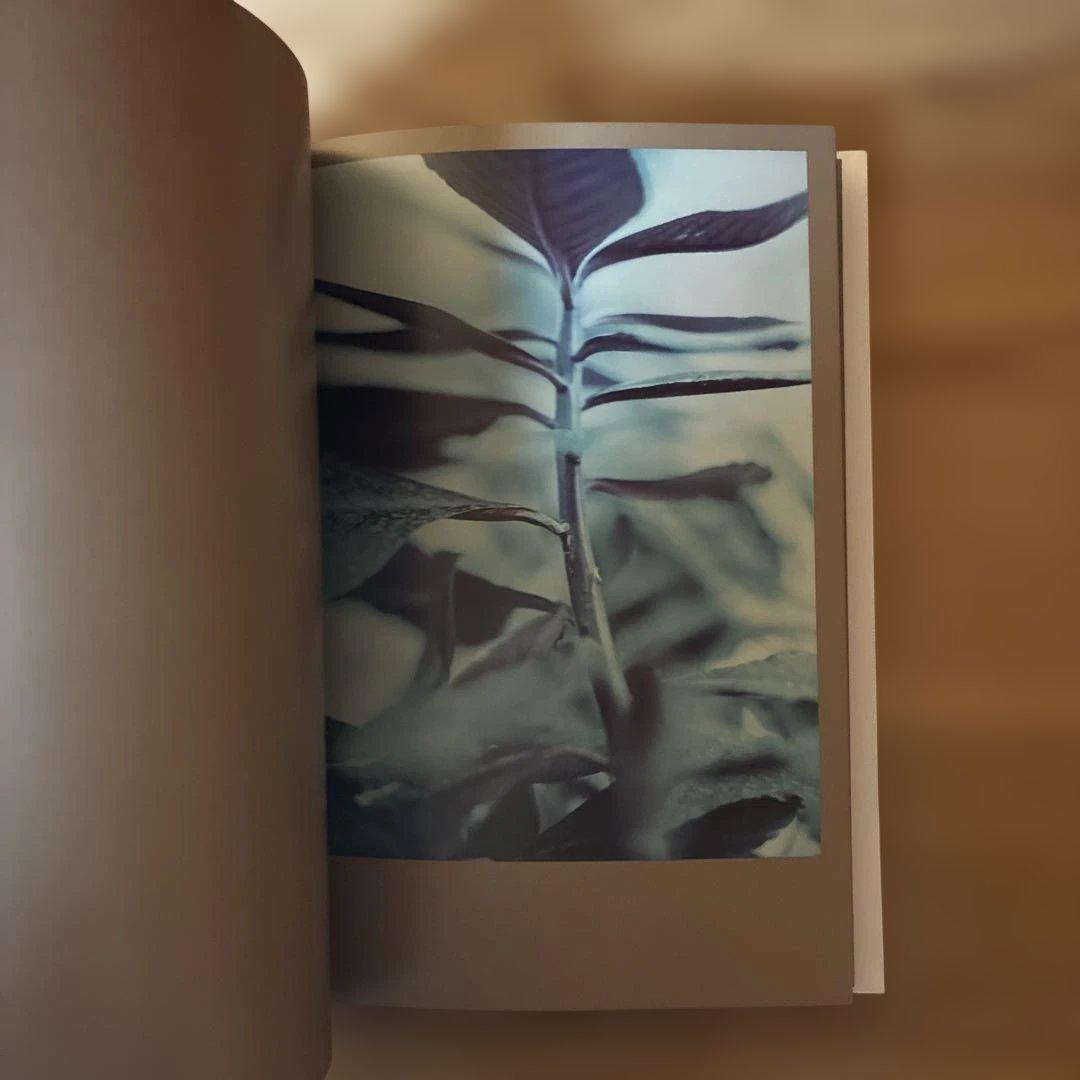 Darren Almond 写真集The Civil Dawns