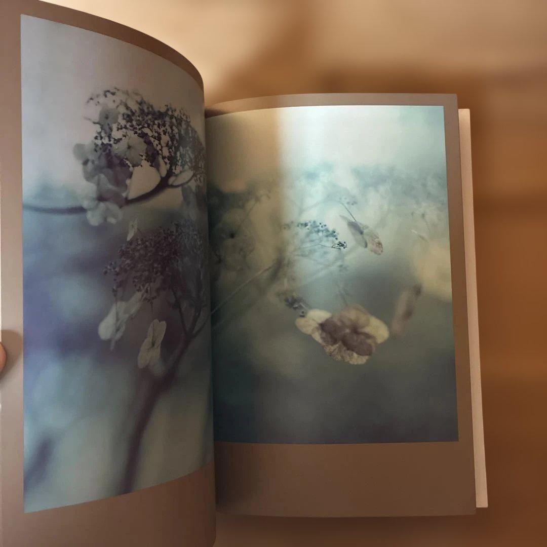 Darren Almond 写真集The Civil Dawns