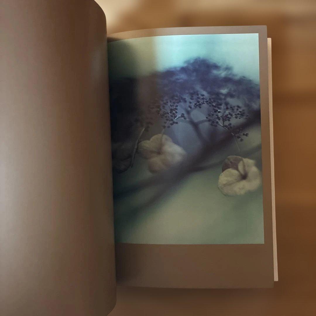 Darren Almond 写真集The Civil Dawns