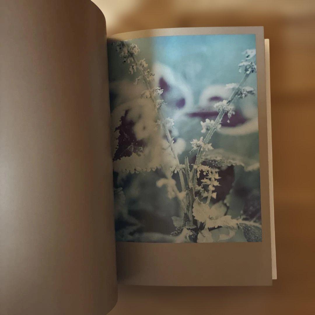 Darren Almond 写真集The Civil Dawns