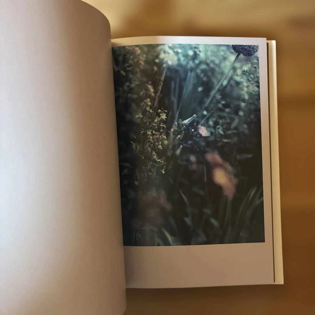 Darren Almond 写真集The Civil Dawns