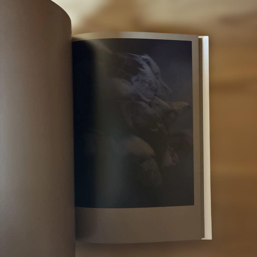 Darren Almond 写真集The Civil Dawns