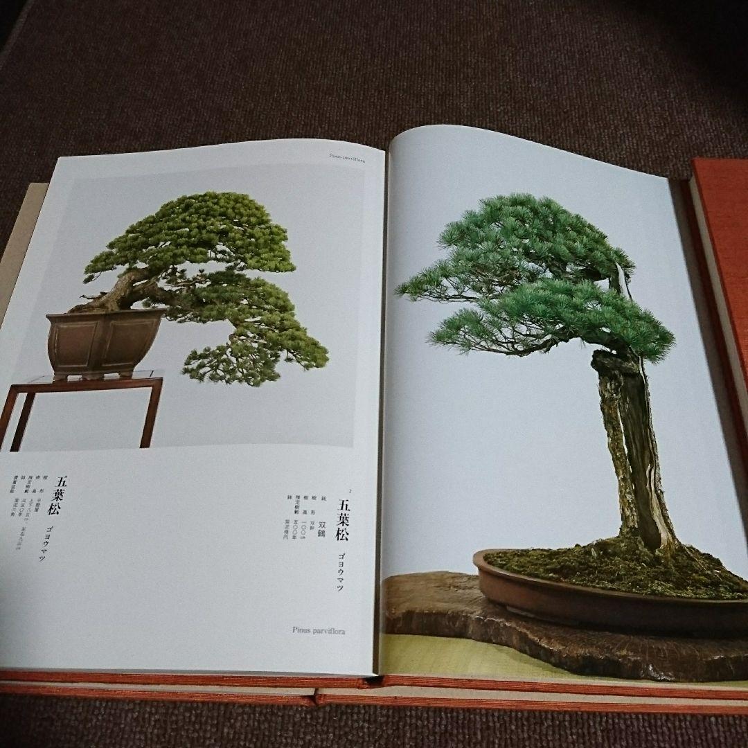 日本盆栽水石名品大系 松柏 3巻セット