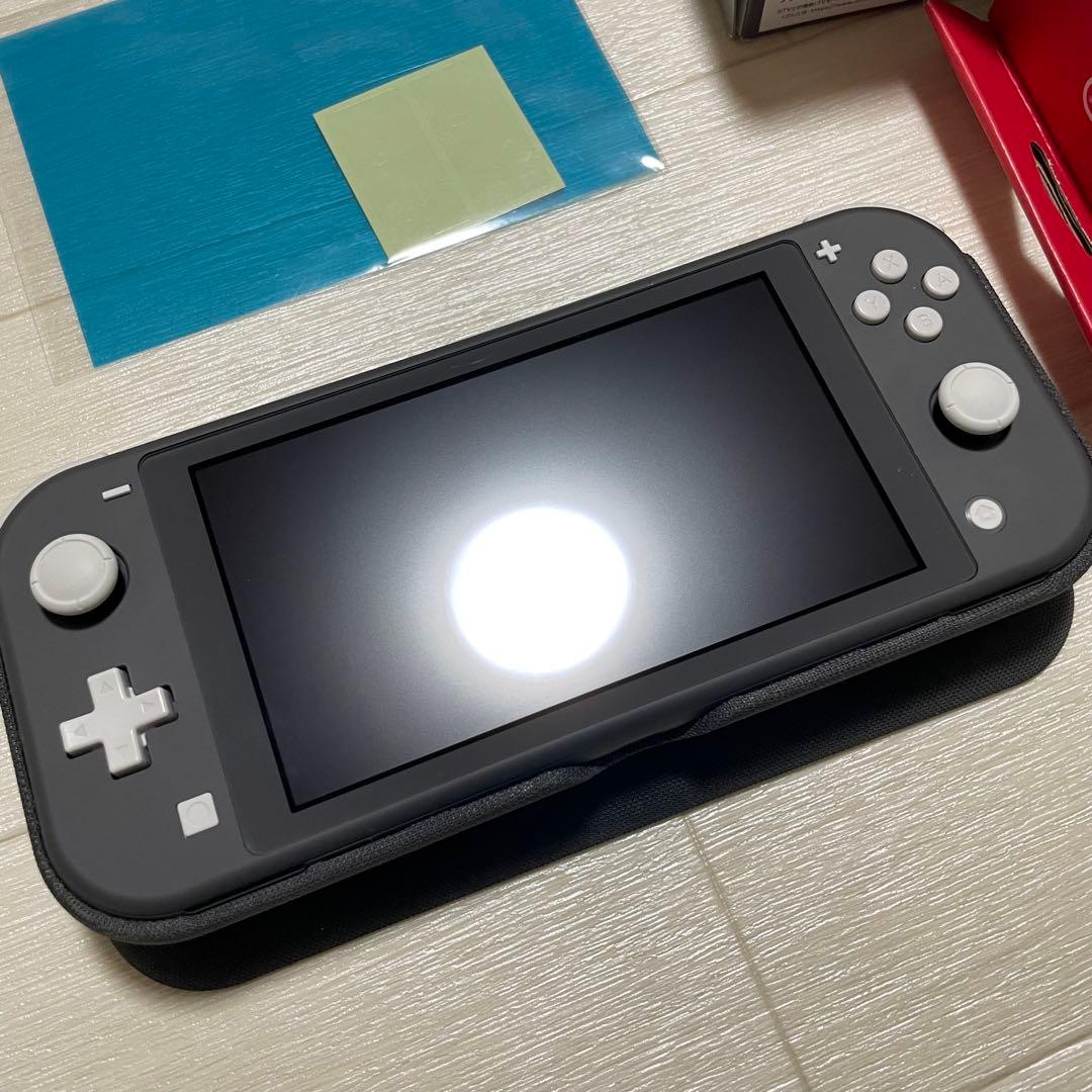 Nintendo Switch Lite グレー 本体　＋おまけ付き