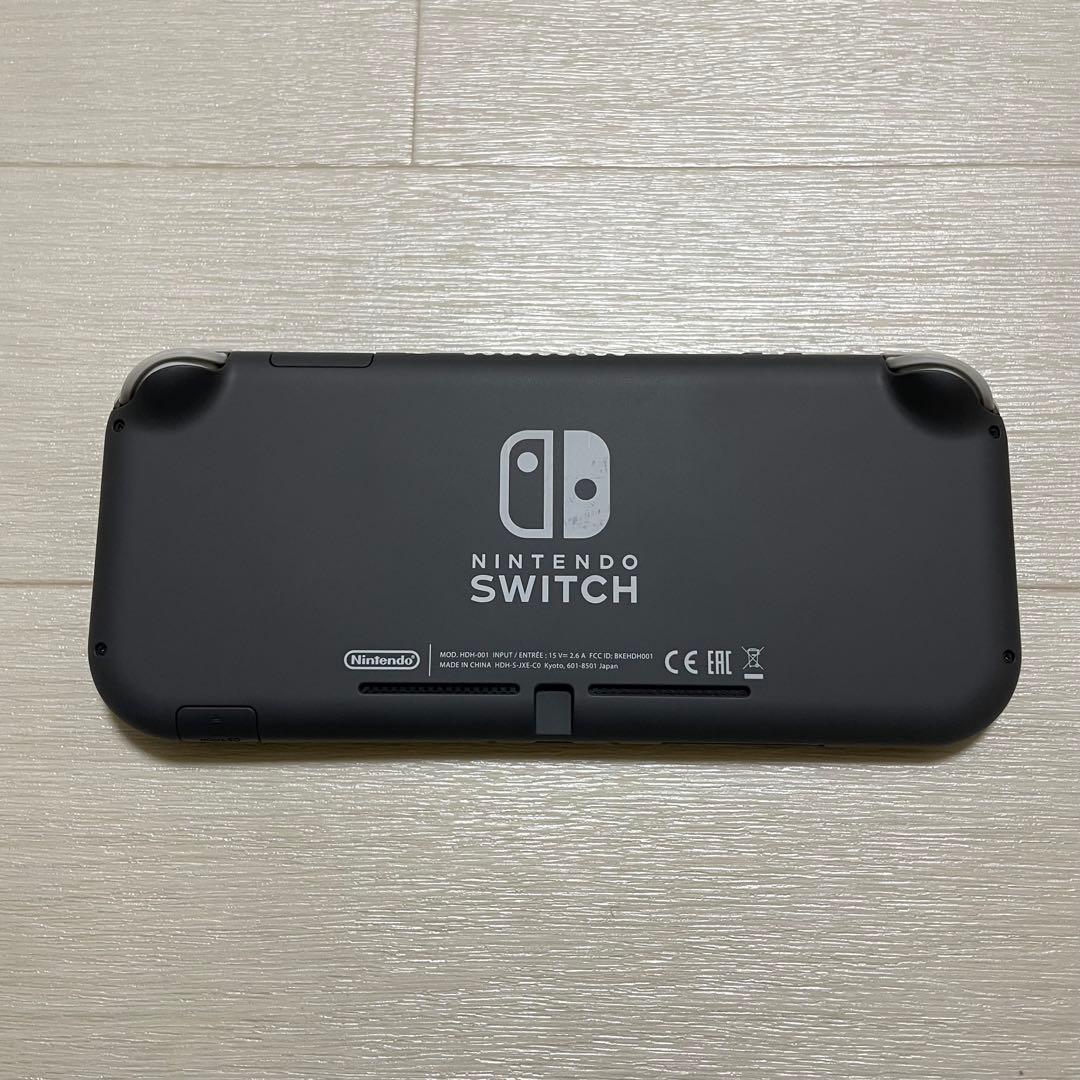 Nintendo Switch Lite グレー 本体　＋おまけ付き