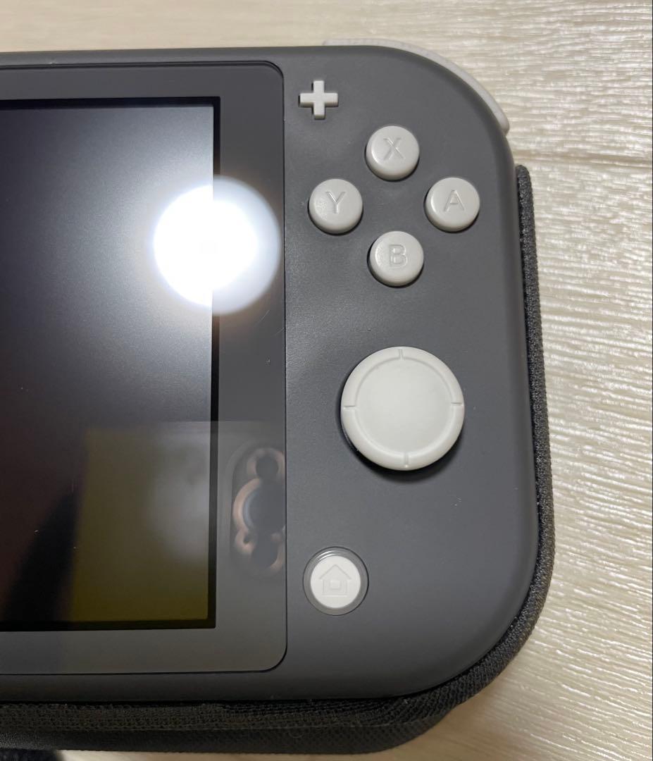 Nintendo Switch Lite グレー 本体　＋おまけ付き