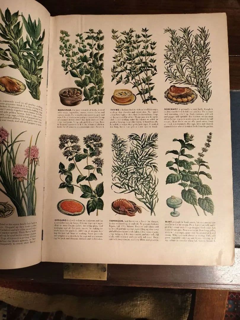 LIFE誌　有名　超希少　マリリン・モンロー表紙の一冊　1952年　洋書　古書