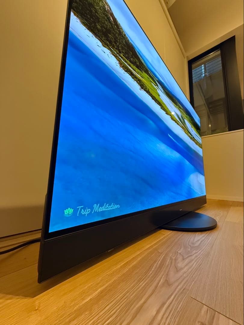 【ダイケイ様】Panasonic 2024年製 65型 TV-65Z95A