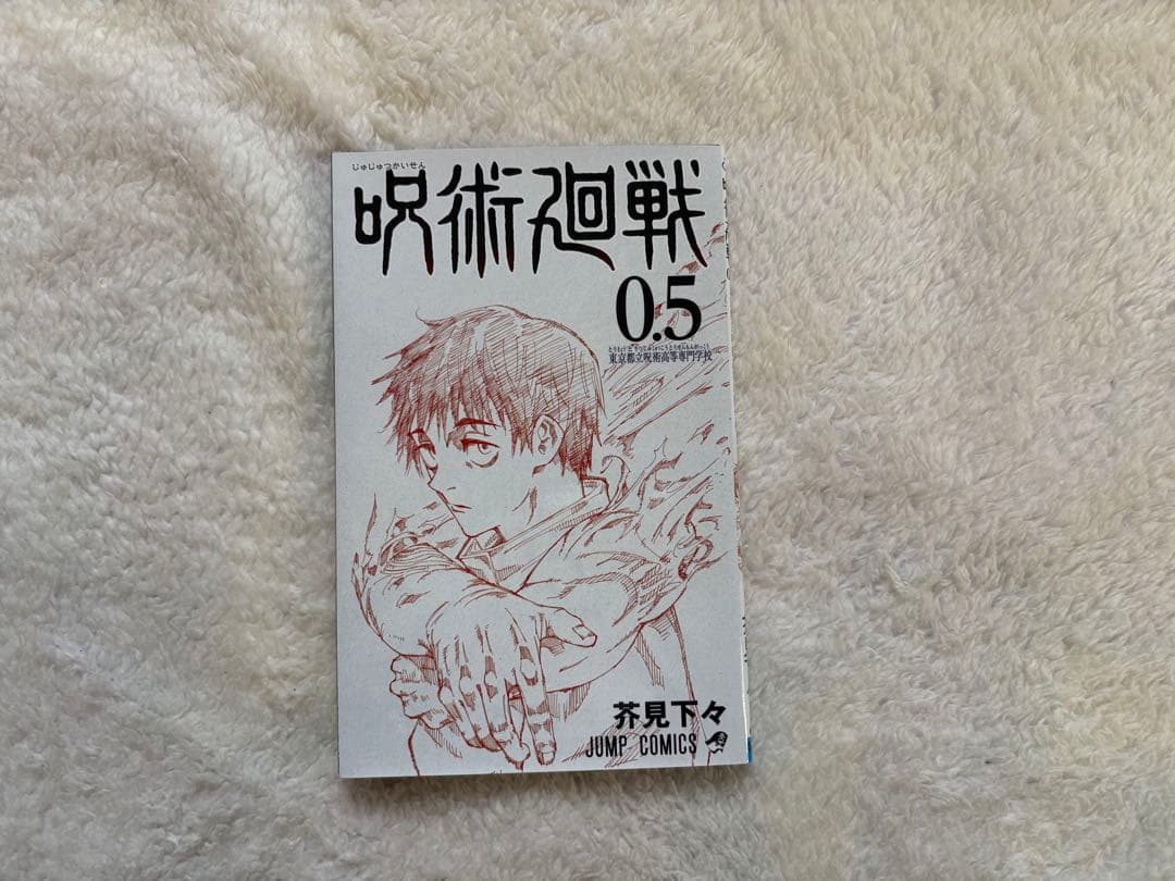 呪術廻戦　コミック1巻〜30巻全巻セット　クッション　トートバックセット