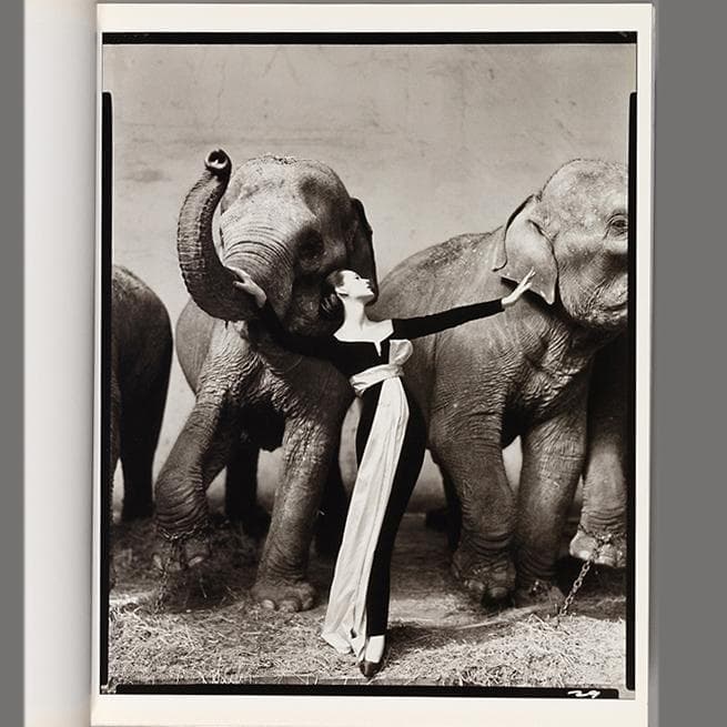 Woman in the Mirror　リチャード アヴェンドン 英語版