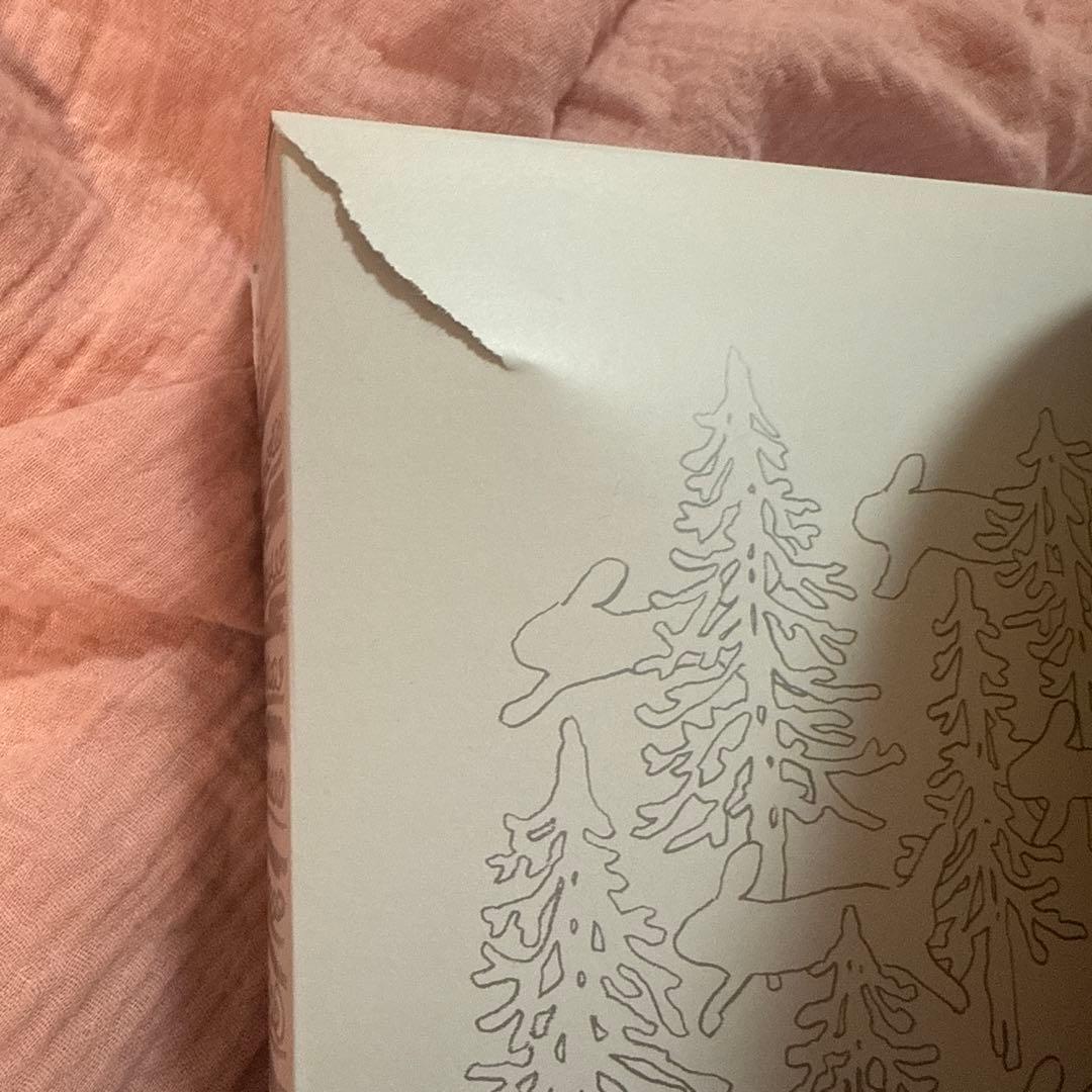 BRUTUS Casa &Premium 30周年特別版♡ミナペルホネン*皆川明