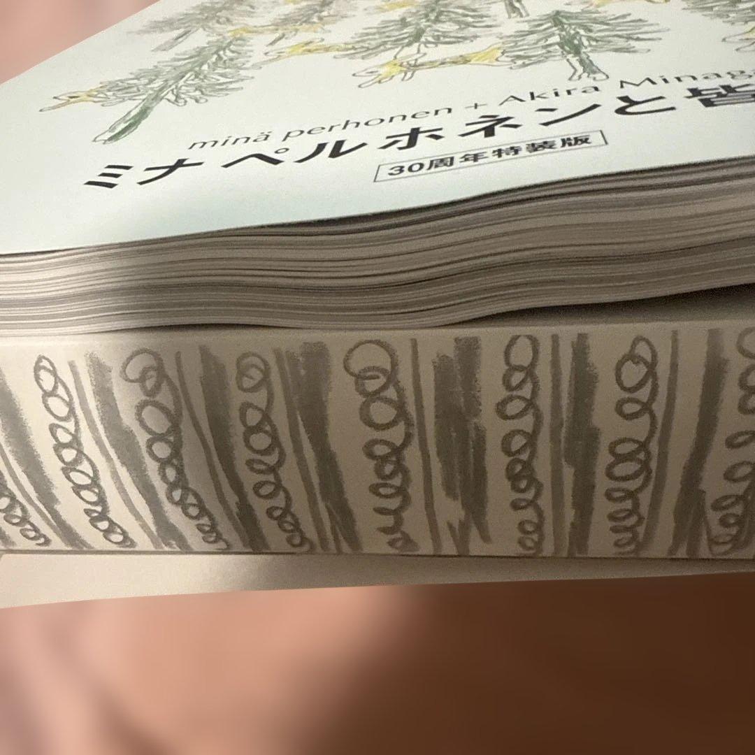 BRUTUS Casa &Premium 30周年特別版♡ミナペルホネン*皆川明