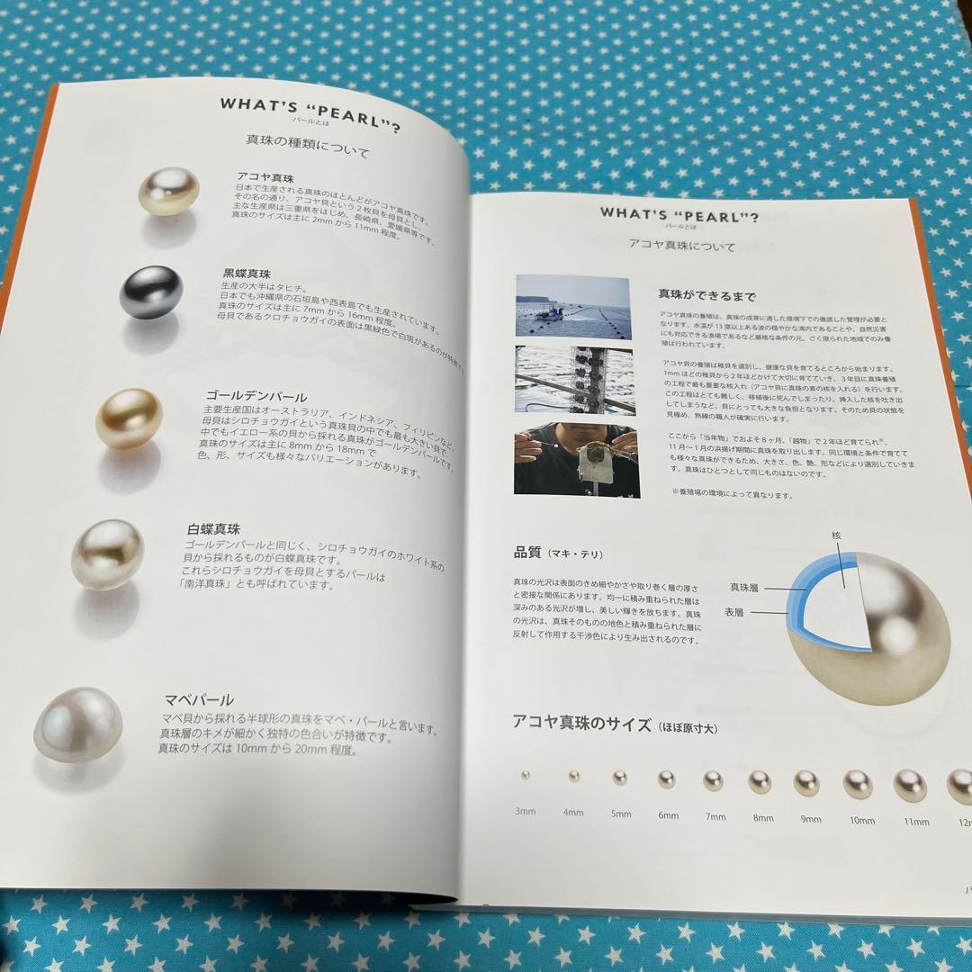 アート・デザイン・音楽 JEWELRY DESIGNS BEST COLLECTION -PEARL-