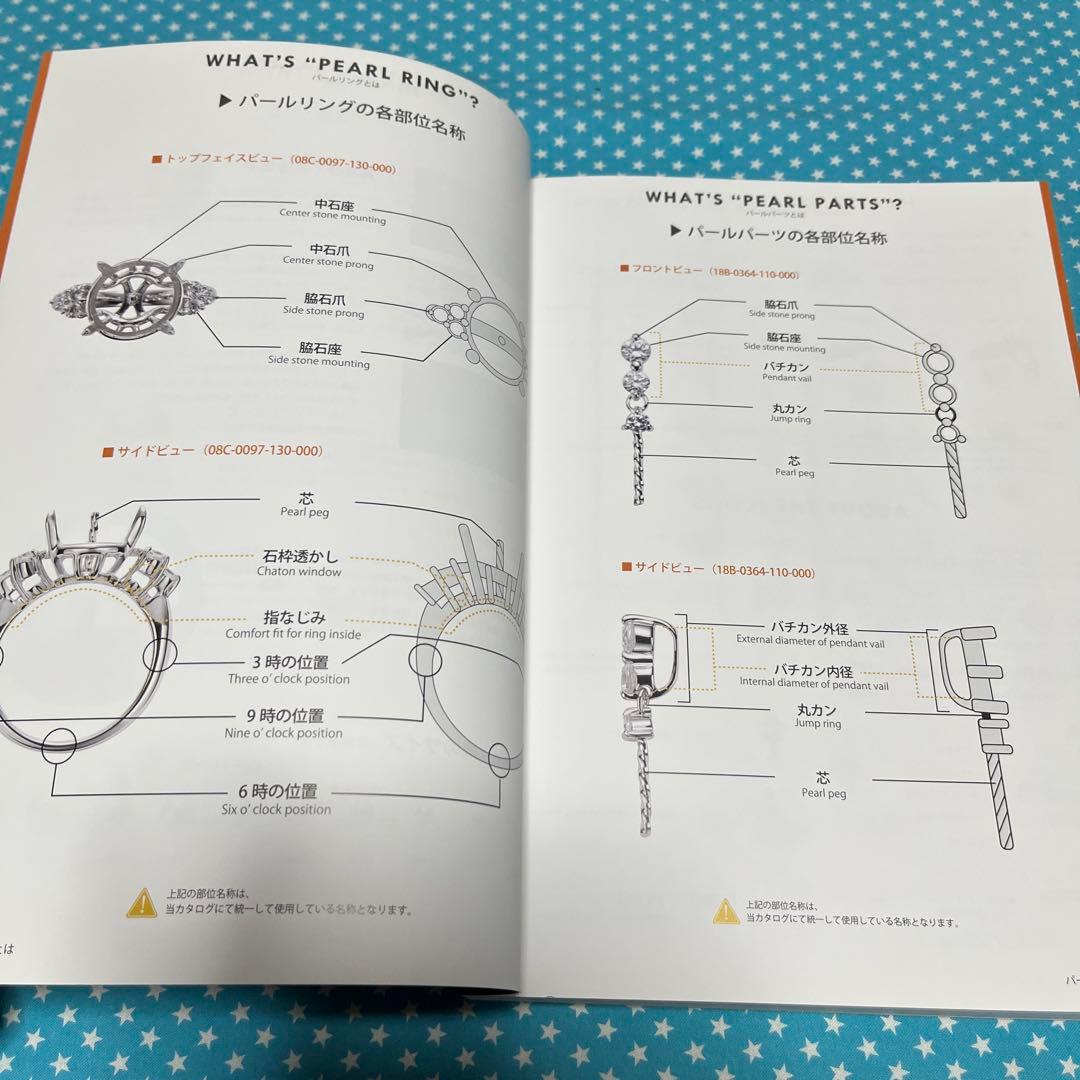 アート・デザイン・音楽 JEWELRY DESIGNS BEST COLLECTION -PEARL-