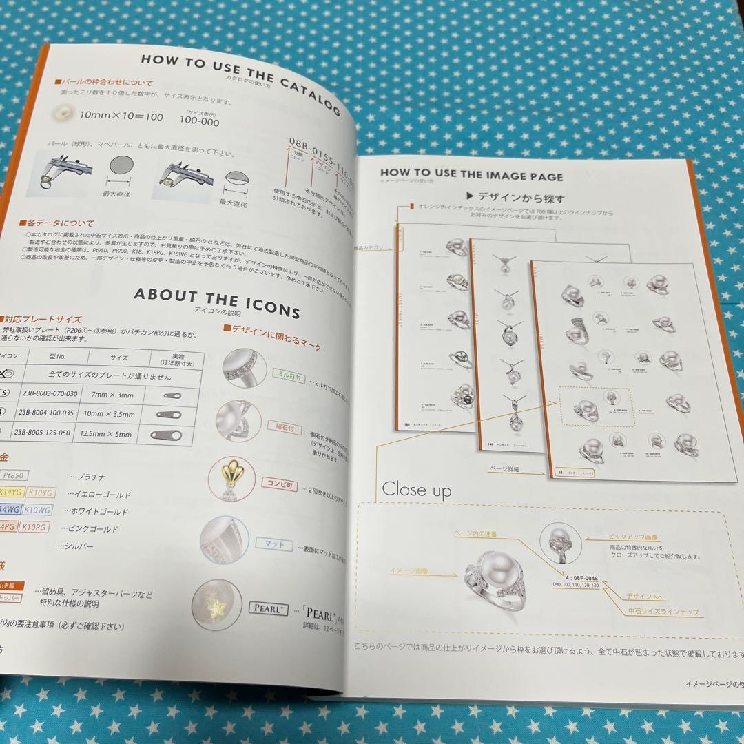 アート・デザイン・音楽 JEWELRY DESIGNS BEST COLLECTION -PEARL-