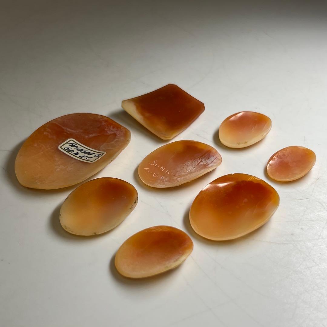 シェルカメオ 8点 41g 東キ8-0206ア㊱