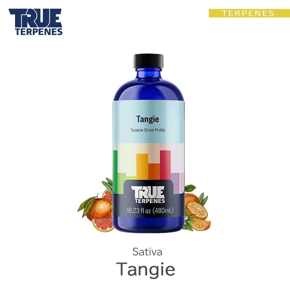 【Rick】各1mlずつ　計5ml