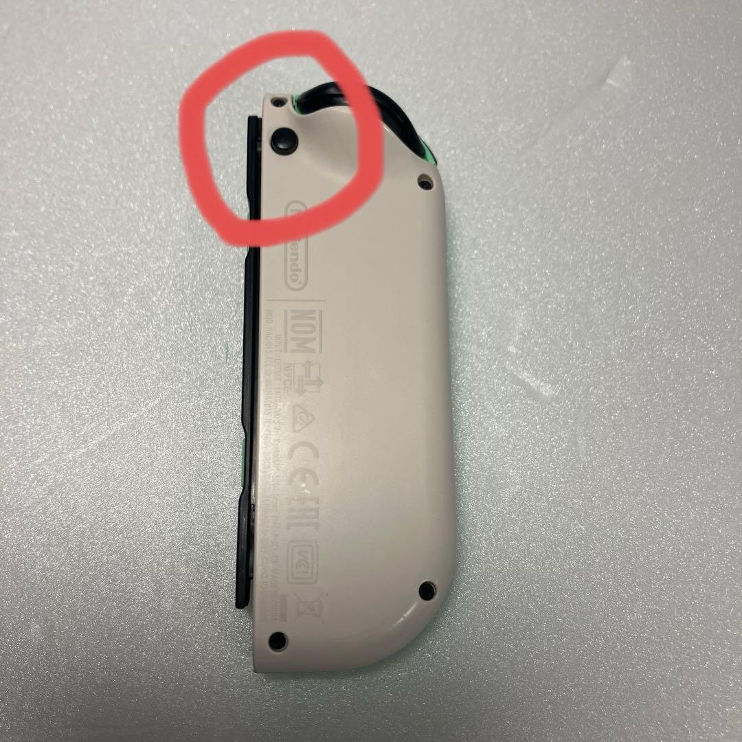 【携帯ケース付】Nintendo Switch あつまれ どうぶつの森セット